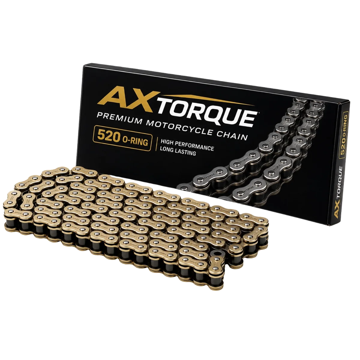 Motorcycle drive chain